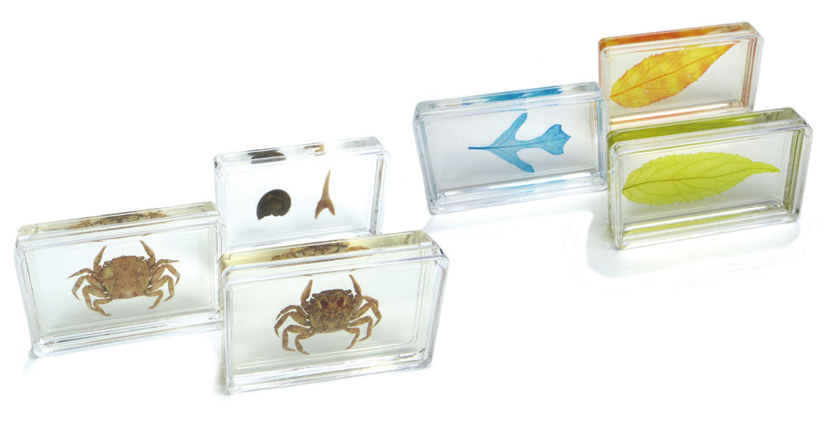 樹脂封入の作り方2 手順1 簡単な樹脂封入に必要な物を準備する Csラボはなかなかだす