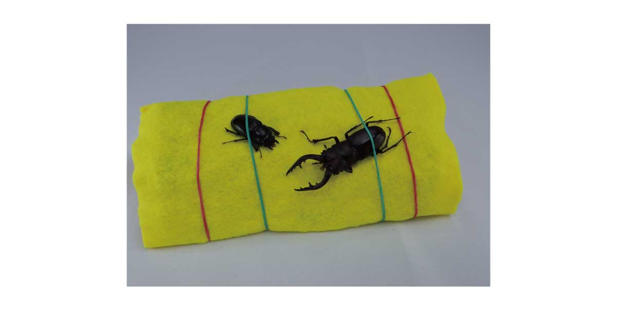 昆虫標本の作り方3 ジオラマ風標本の作り方 その1 Csラボはなかなかだす