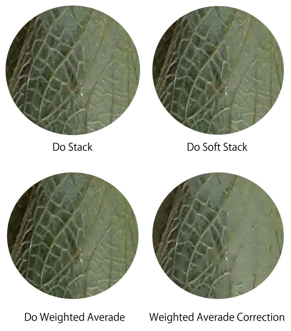 Combine Zm 深度合成モードを比較する Do Stack Do Soft Stack Do Weighted Average Weighted Average Correction Csラボはなかなかだす